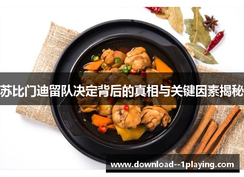 苏比门迪留队决定背后的真相与关键因素揭秘