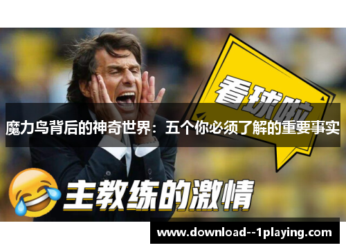 魔力鸟背后的神奇世界：五个你必须了解的重要事实